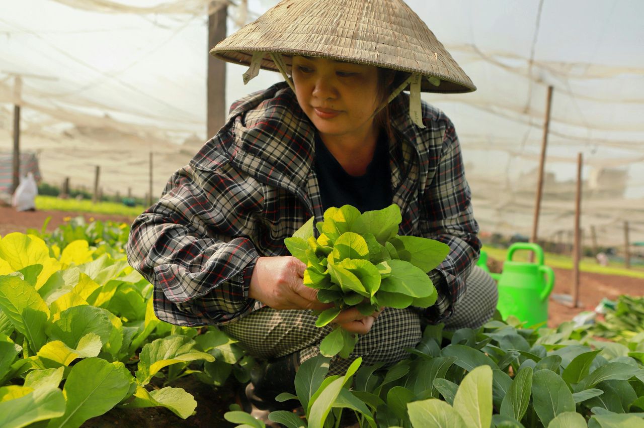 Lạc Liil/Pexels