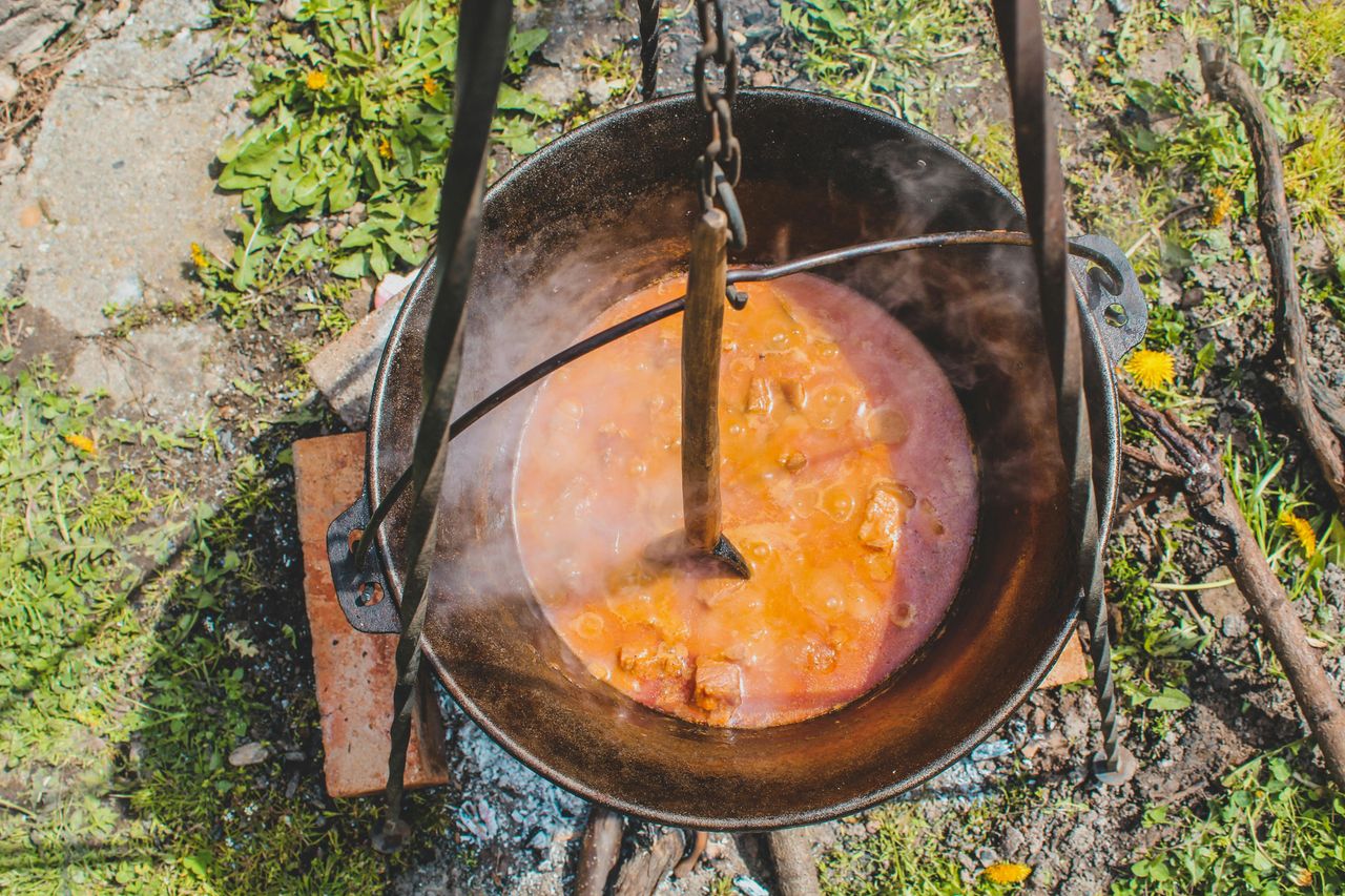 Czapp Árpád/Pexels