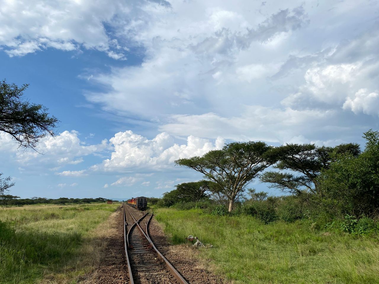 Charmain Jansen van Rensburg/Pexels