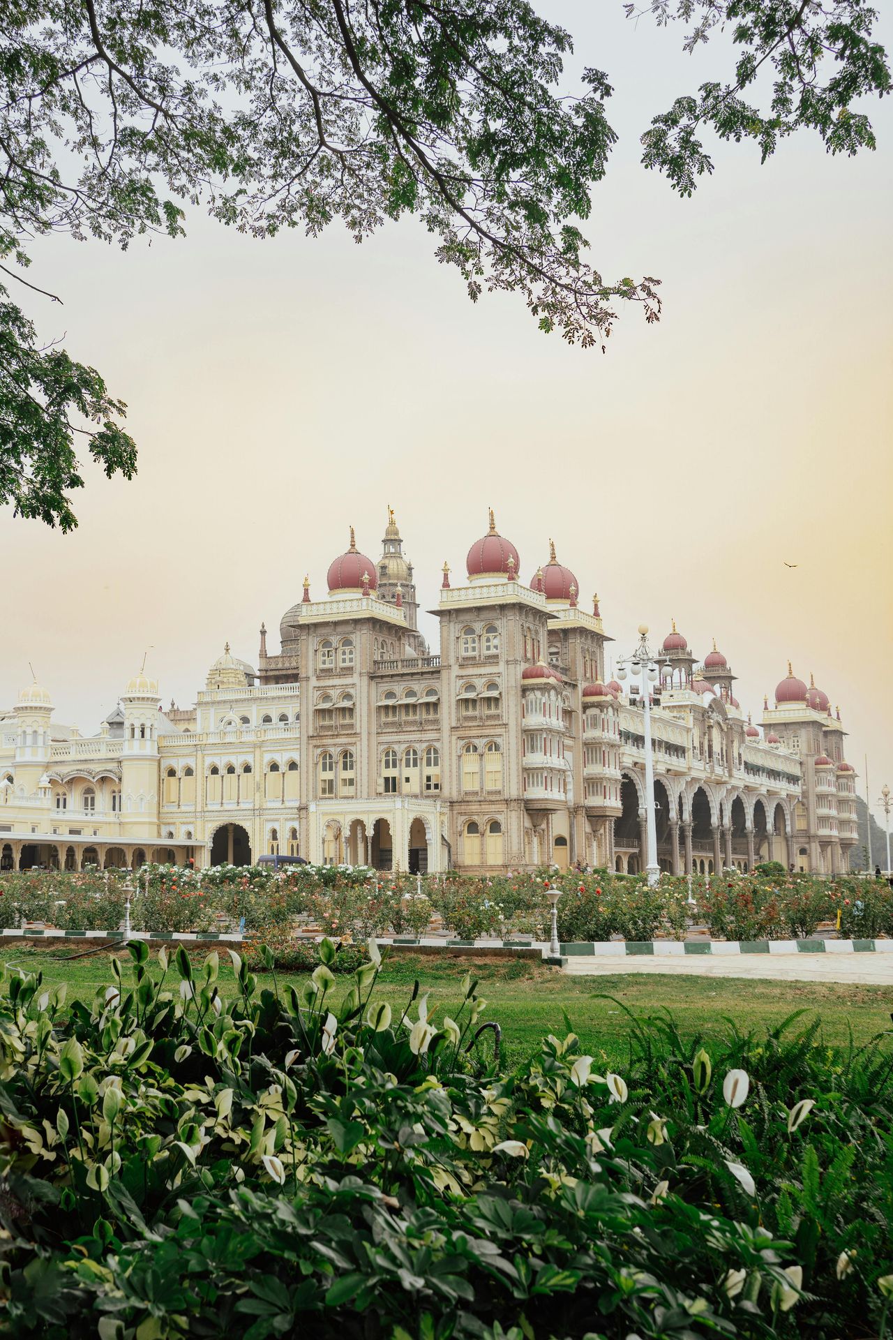 Nandhu Kumar/Pexels